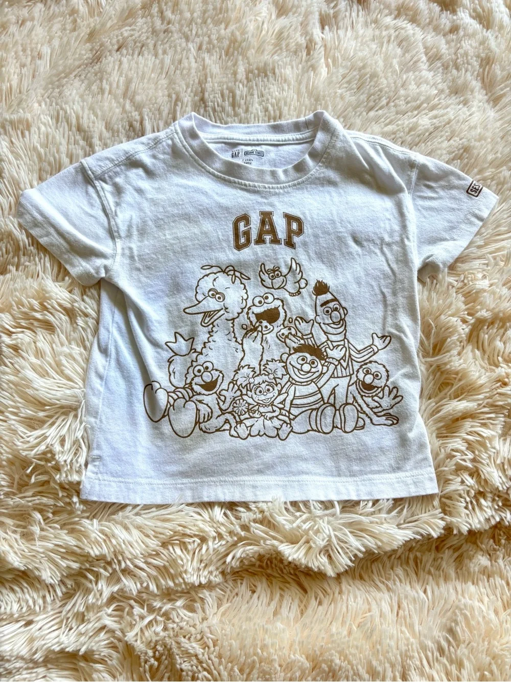 GAP and Sesame Street Graphic Tees size 2T